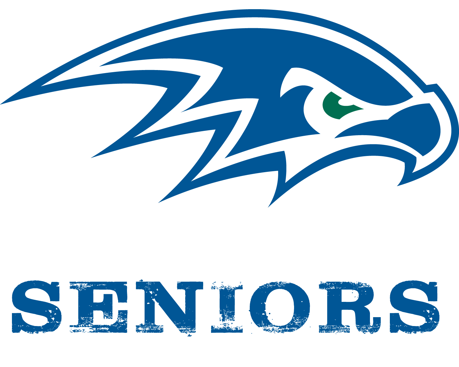 SkyView Academy Seniors